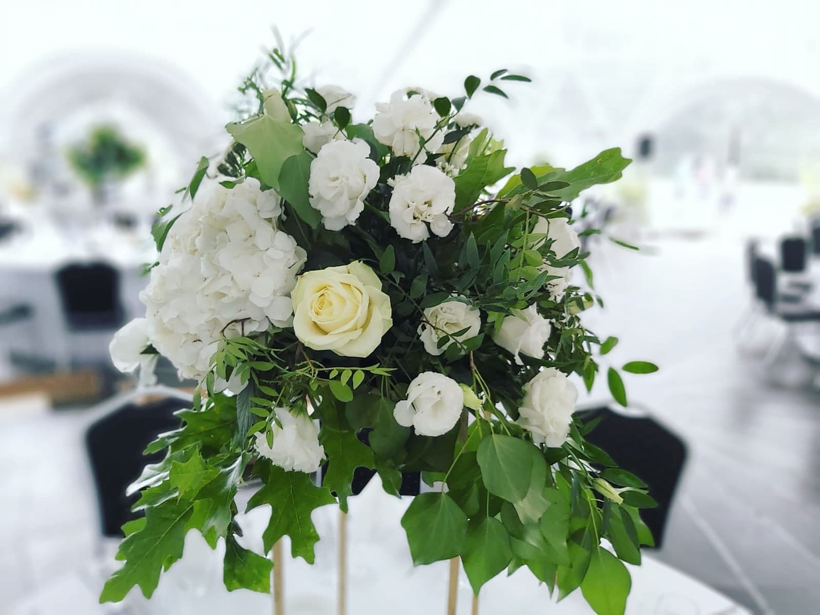 68925492_478114112749009_6006363930681671680_n