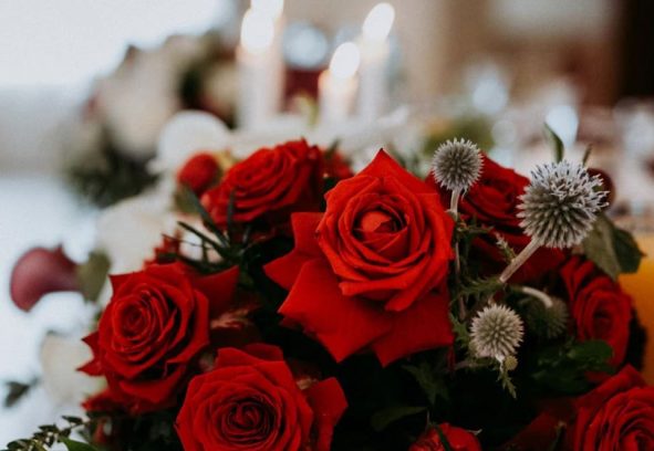 72763915_2468247760078503_4288360622686470144_o